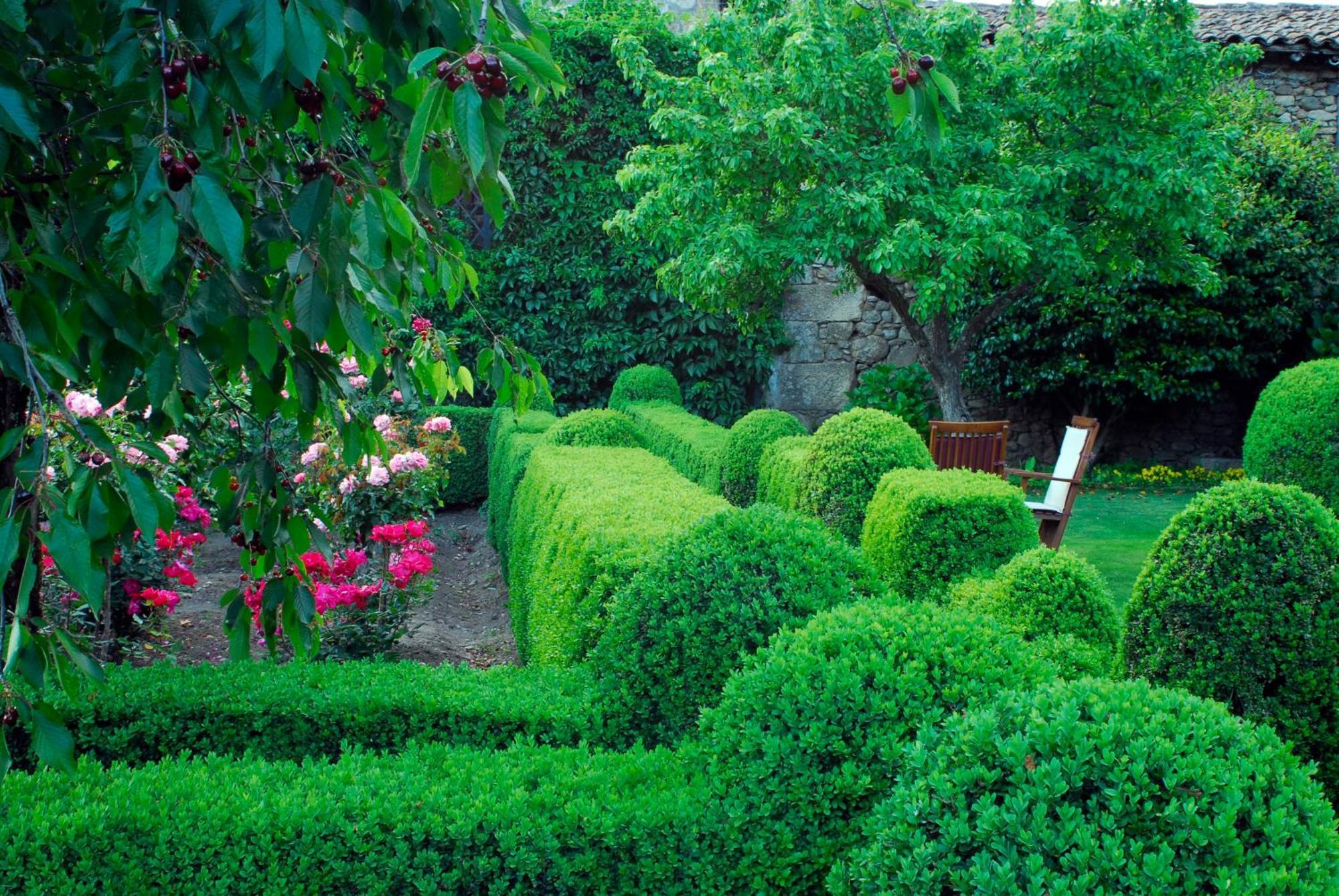 El Jardin Del Convento, Casa Rural Hervás Екстериор снимка