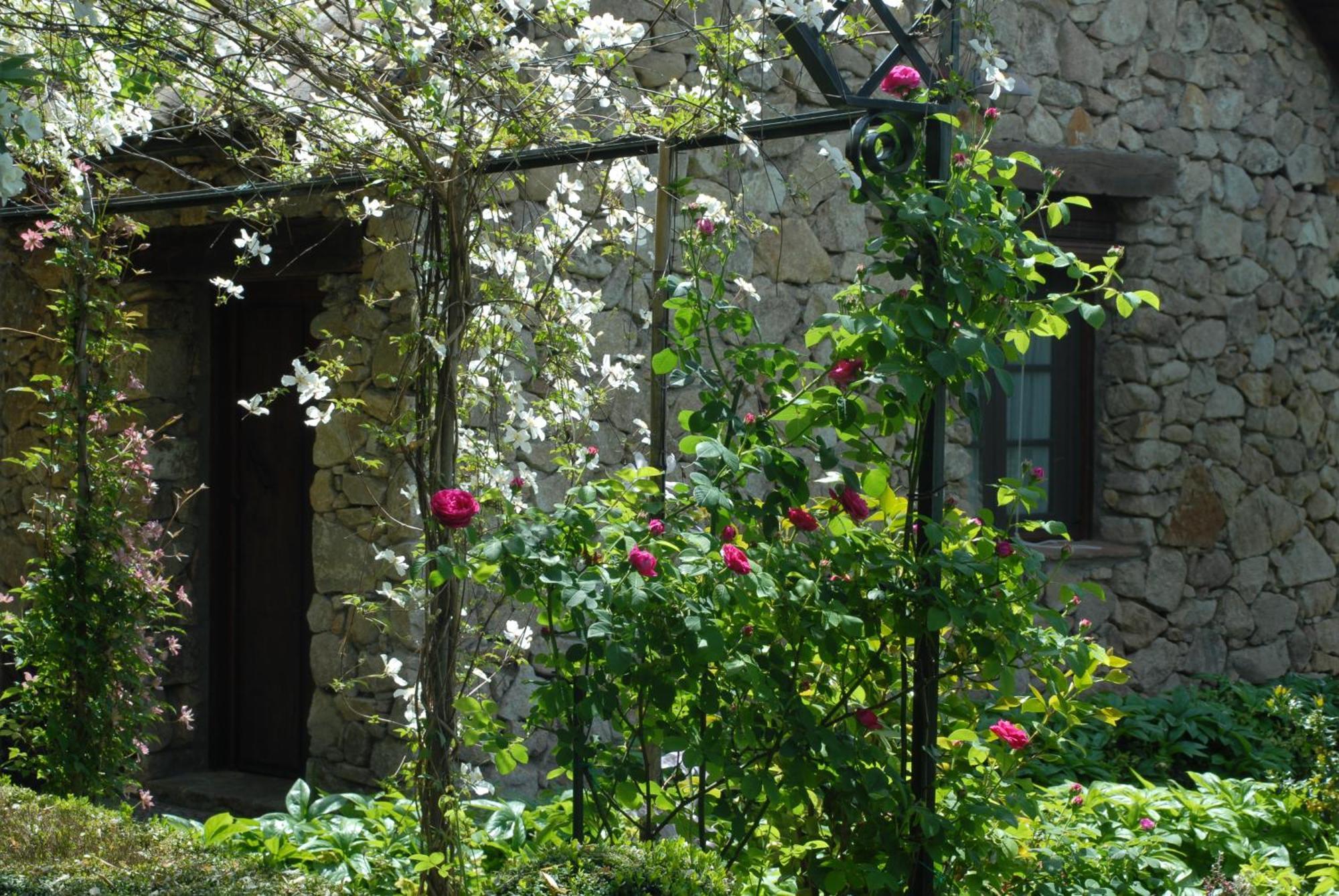 El Jardin Del Convento, Casa Rural Hervás Екстериор снимка